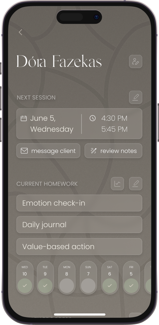 The therapist-facing interface